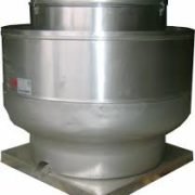 extractor-en-hongo-3